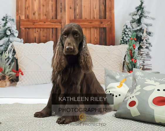 2022-KathleenRileyPhotography-8131