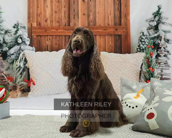 2022-KathleenRileyPhotography-8138