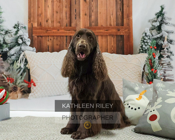 2022-KathleenRileyPhotography-8139