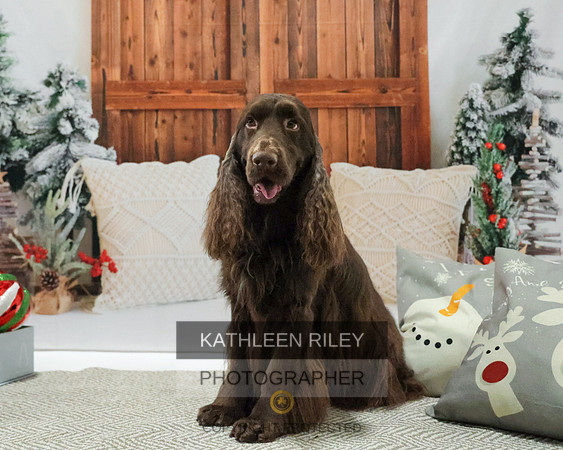 2022-KathleenRileyPhotography-8140