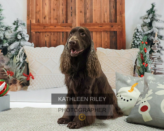 2022-KathleenRileyPhotography-8141
