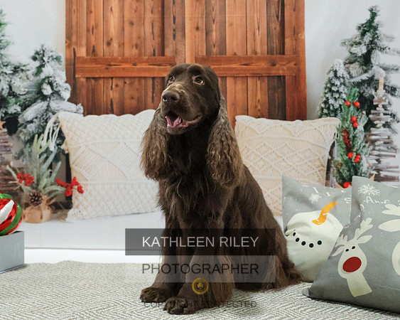 2022-KathleenRileyPhotography-8142