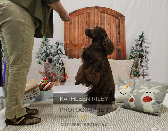 2022-KathleenRileyPhotography-8163