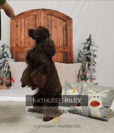 2022-KathleenRileyPhotography-8165