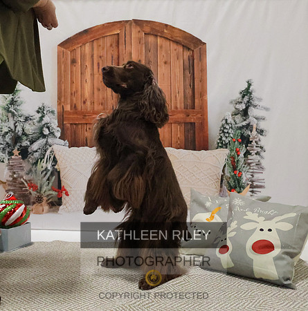 2022-KathleenRileyPhotography-8172