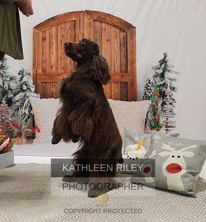 2022-KathleenRileyPhotography-8174