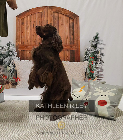 2022-KathleenRileyPhotography-8178