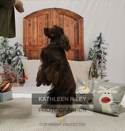 2022-KathleenRileyPhotography-8184