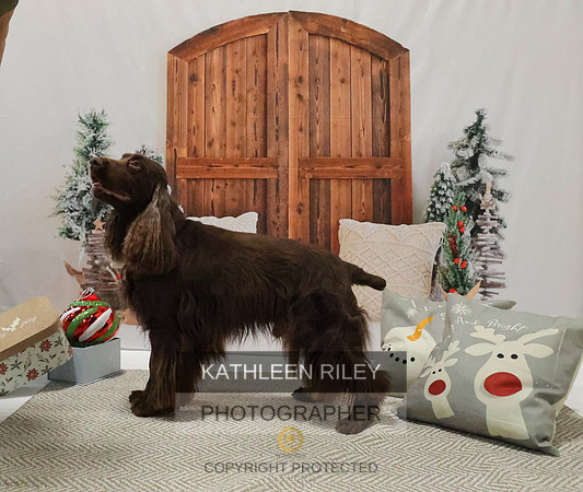 2022-KathleenRileyPhotography-8186