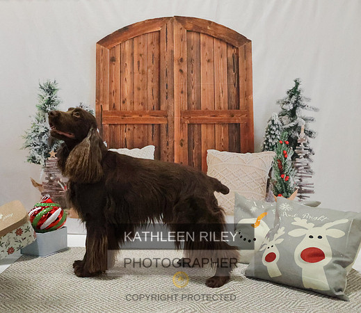 2022-KathleenRileyPhotography-8189