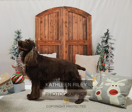 2022-KathleenRileyPhotography-8190