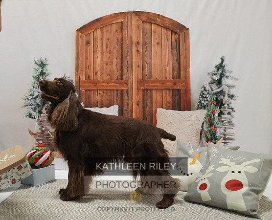 2022-KathleenRileyPhotography-8193