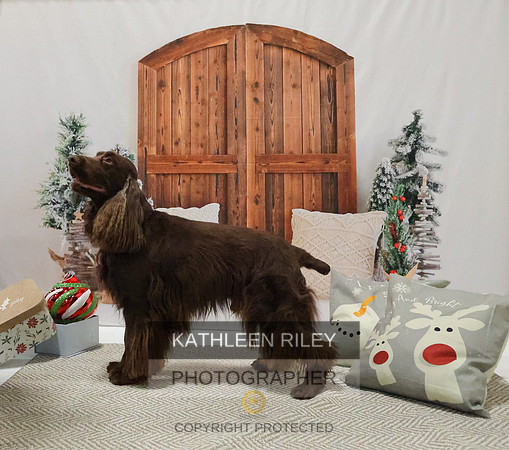 2022-KathleenRileyPhotography-8194