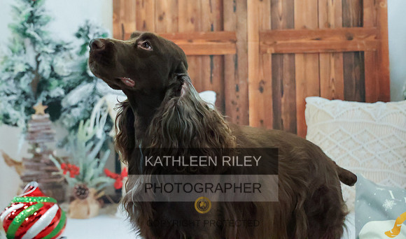 2022-KathleenRileyPhotography-8199