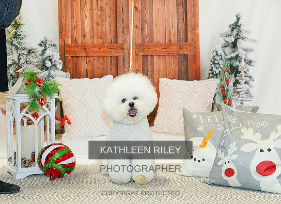2022-KathleenRileyPhotography-1752