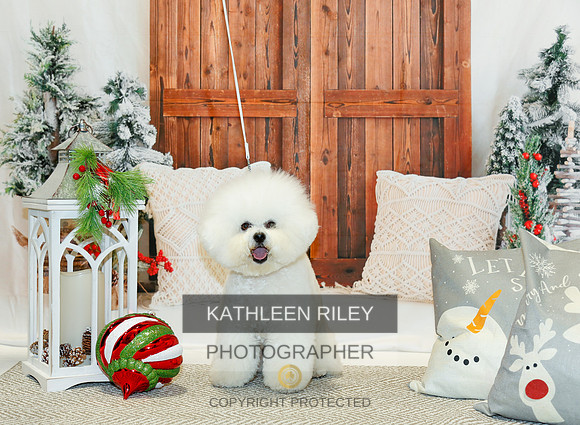 2022-KathleenRileyPhotography-1758