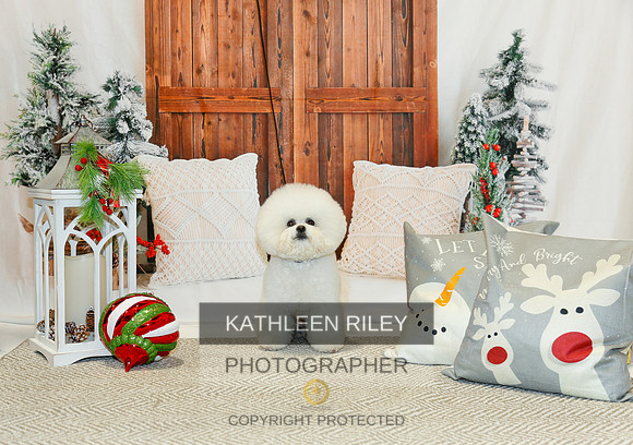 2022-KathleenRileyPhotography-1764