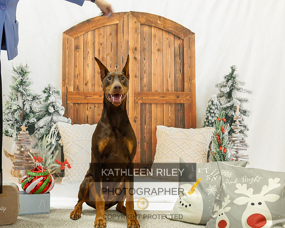 2022-KathleenRileyPhotography-1737