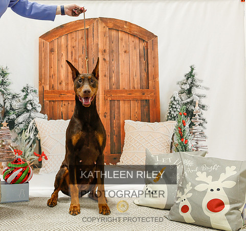 2022-KathleenRileyPhotography-1743