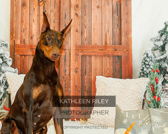 2022-KathleenRileyPhotography-1748