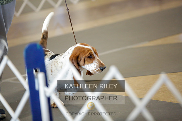 2022-KathleenRileyPhotography-8696