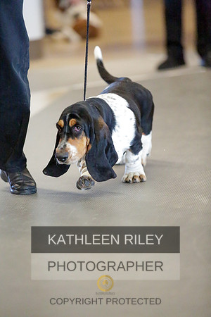 2022-KathleenRileyPhotography-8705