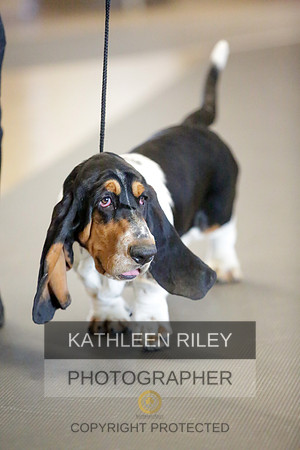 2022-KathleenRileyPhotography-8706