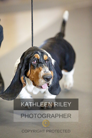 2022-KathleenRileyPhotography-8707