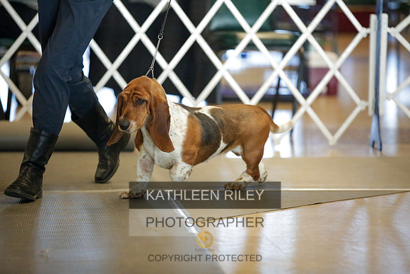 2022-KathleenRileyPhotography-8715