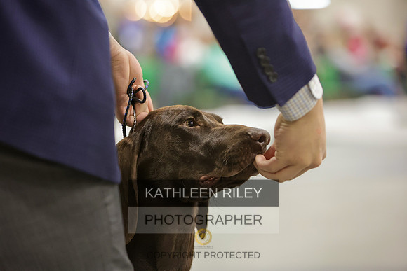 2022-KathleenRileyPhotography-8553