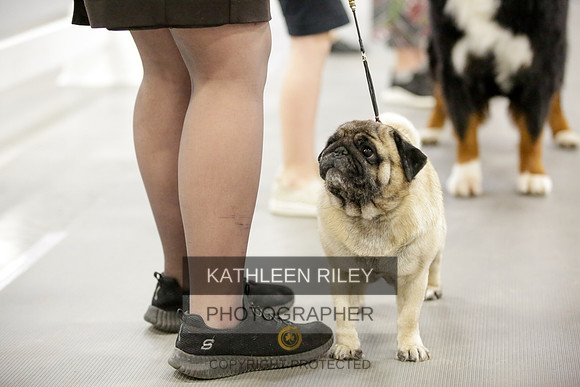 2022-KathleenRileyPhotography-8718