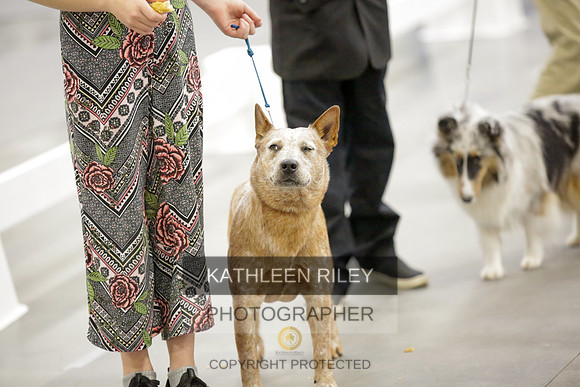 2022-KathleenRileyPhotography-8754