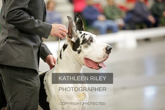 2022-KathleenRileyPhotography-8795
