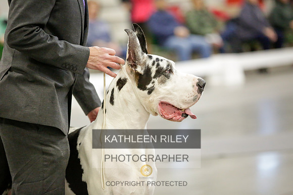 2022-KathleenRileyPhotography-8796