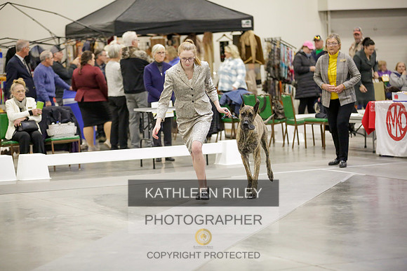 2022-KathleenRileyPhotography-8799