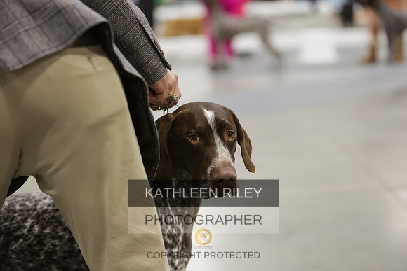 2022-KathleenRileyPhotography-8703-2