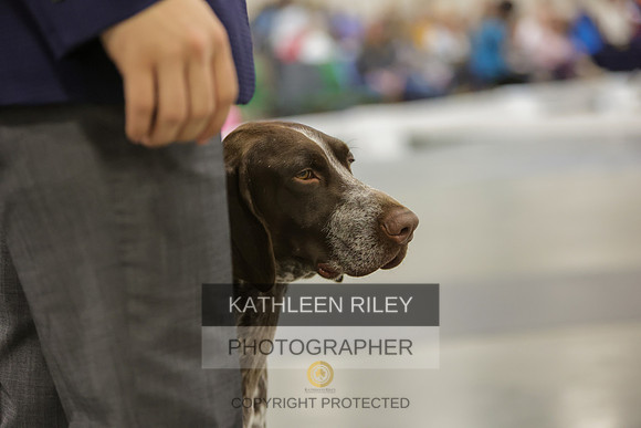 2022-KathleenRileyPhotography-8711-2
