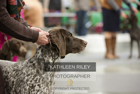2022-KathleenRileyPhotography-8715-2