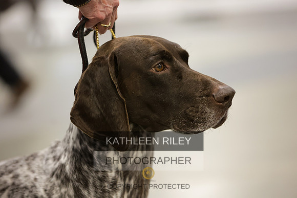 2022-KathleenRileyPhotography-8716-2