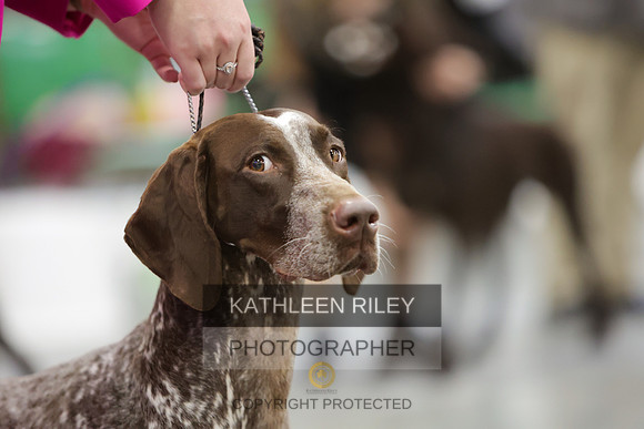 2022-KathleenRileyPhotography-8718-2