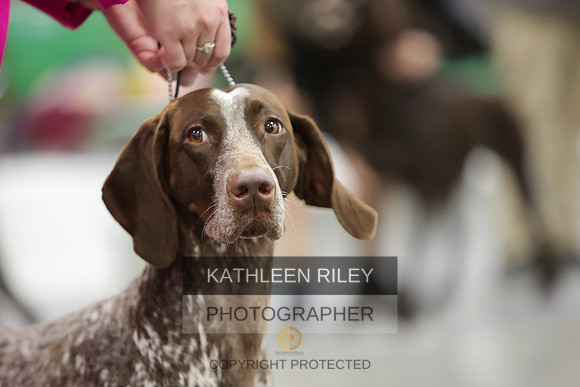 2022-KathleenRileyPhotography-8719