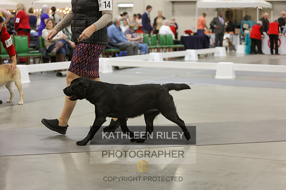 2022-KathleenRileyPhotography-8887