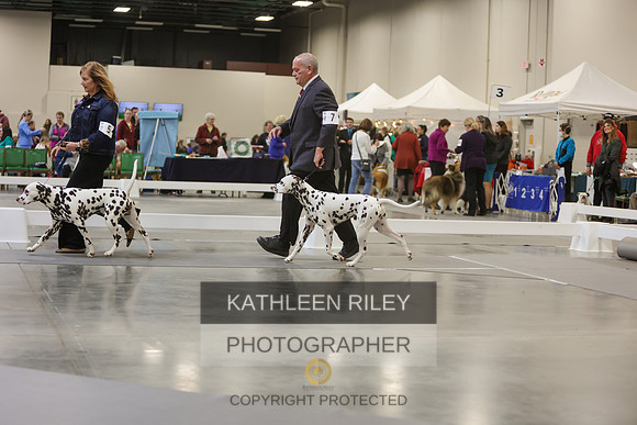 2022-KathleenRileyPhotography-8905