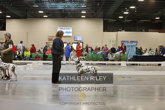 2022-KathleenRileyPhotography-8921