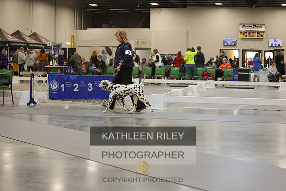 2022-KathleenRileyPhotography-8937