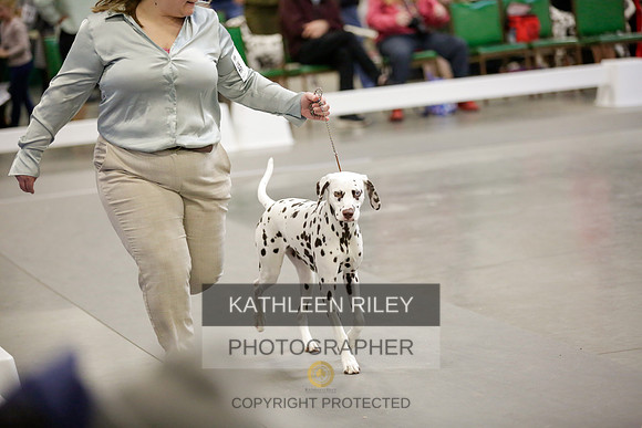 2022-KathleenRileyPhotography-8811