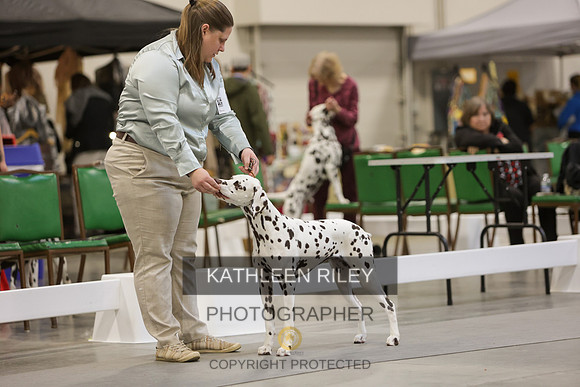 2022-KathleenRileyPhotography-8951