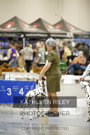 2022-KathleenRileyPhotography-8812