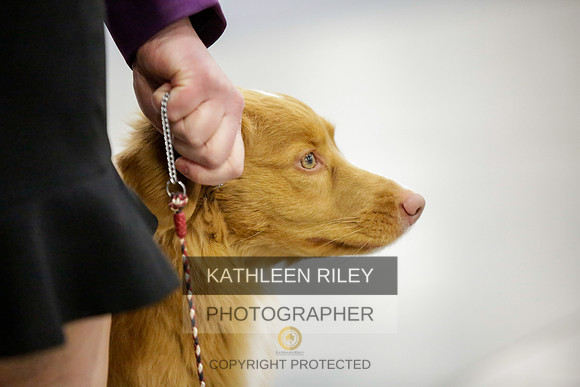 2022-KathleenRileyPhotography-8832-2