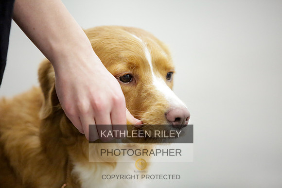 2022-KathleenRileyPhotography-8852-2
